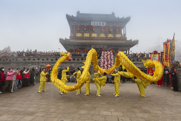 龙影5