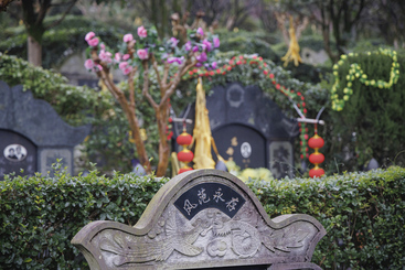 Z17443-6-277263-153****4267-岁岁清明（组照-8） 人们到父母或前人墓前祭扫，回顾他们的优良品质，让良好的家风和品质代代传承。