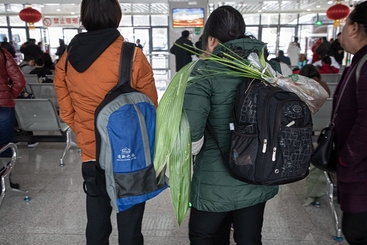 Z17443-8-277263-153****4267-新年货（组照-7）正月初六，一名妇女背着粽叶苗，准备赶车去泸州市看望亲家和女儿一家。那边不长粽叶，每年都是她用快递寄粽子。她想试试能否种植粽叶，如成功，那亲人们就年年都能吃上鲜香的粽子了。