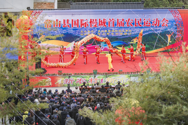 Z22530-10-277263-135****1059-组照《舞龙的魅力》8.jpg