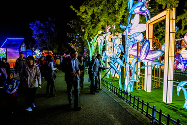 Z25839-9-277263-136****1959-组照5《外宾来观展 同赏花灯会 》-DSC_5738_副本.jpg