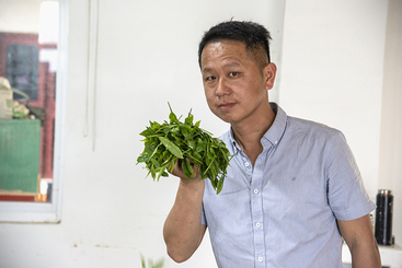 Z26061-3-277263-151****1188-猴魁飘香（组照）3.jpg