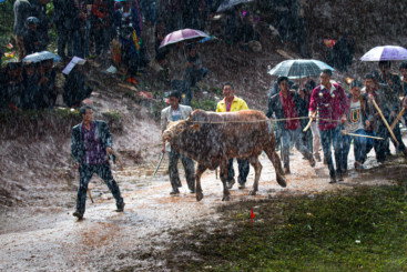 冒雨上场