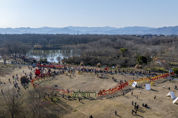 Z30271-2-277263-136****3053-《九龙闹春》组照1.jpg