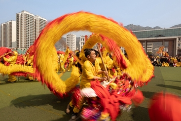 Z30525-2-277263-180****4858-百条毛龙齐闹春7——林漫——180****4858.jpg