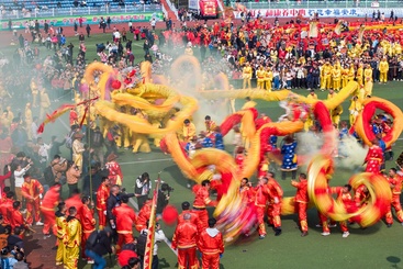 Z30525-2-277263-180****4858-百条毛龙齐闹春5——林漫——180****4858.jpg