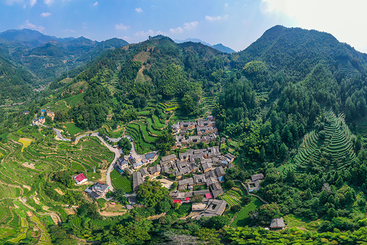 Z31268-9-277263-130****8515-5-DJI_0485-1《松阳家堂石里茶园》-1000.jpg