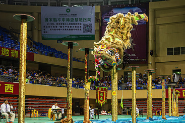 Z32118-7-277263-139****7995-3.组照《狮舞》.jpg