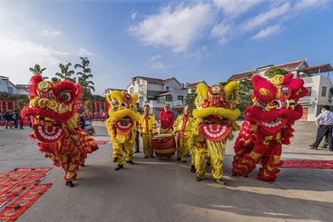 Z32118-7-277263-139****7995-5.组照《狮舞》.jpg