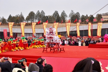 非遗过大年 狮舞耀新城