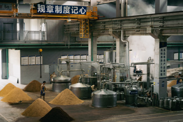 酒窖秘境