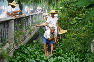 《藏龙》