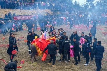 Z36448-10-277263-189****1801-图8_DSC7209.jpg