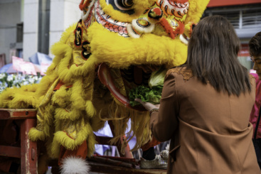 舞狮大吉-2