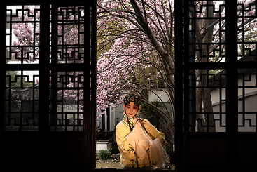 窗外春色如许 jpg