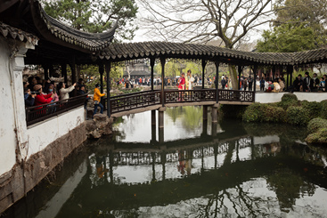 观赏 .jpg
