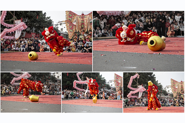 Z38192-11-277263-189****1234-醉狮贺春.jpg