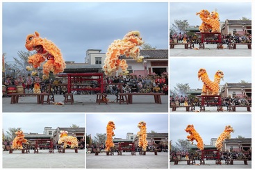 Z38192-8-277263-189****1234-萌狮双舞贺新年.jpg