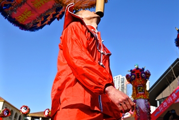 高龙组图7