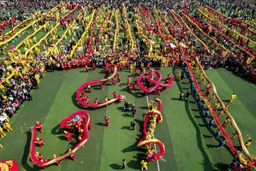 百龙相聚