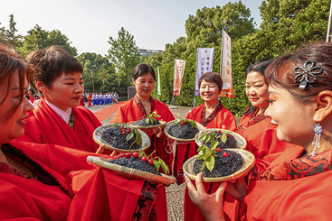 组照6：立夏乌米饭。摄于20240505。