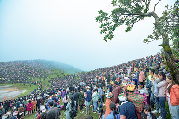 现场观众
