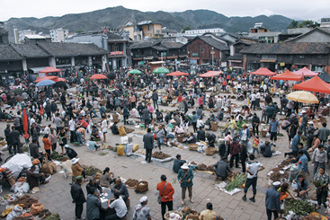 端午药根市场.jpg
