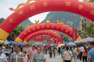 Z38717-5-277263-133****9867-1药市大景图.jpg