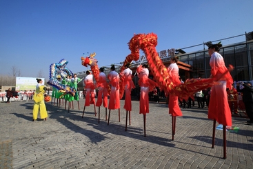 Z38732-5-277263-138****1056-高跷舞龙展才艺4.jpg