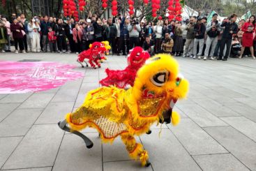 深圳科技小狮子