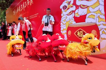 深圳科技小狮子