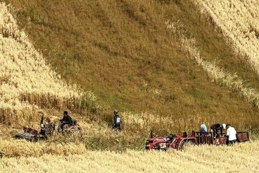 Z37576-2-277264-155****5802-IMG_20250211_214639.jpg