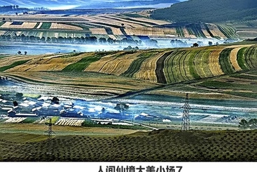 Z37576-6-277264-155****5802-IMG_20250408_070328.jpg