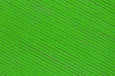 绿色产业新画卷3.jpg