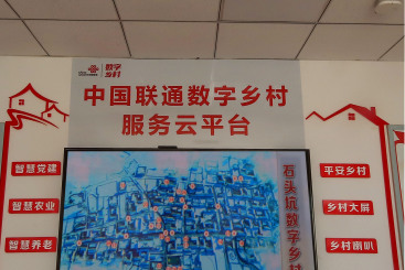 石头坑村的数字新图景.jpg
