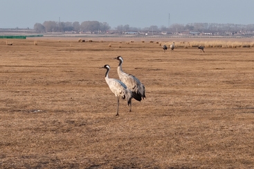 Z38953-3-277264-187****8188-DJI_202****8160927_0104_D.JPG