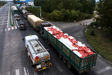 Z39233-8-277264-139****1786-组照：穰穰满家-6.jpg