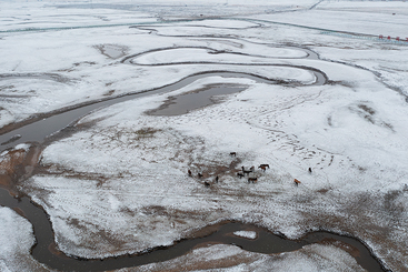 Z39247-5-277264-151****9196-2，DJI_0216-已增强-NR--x.jpg
