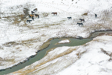 雪湾马迹3