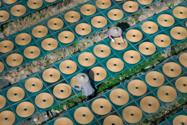 Z38324-1-277345-139****5597-4.DJI_202****9120630_0355_D.jpg