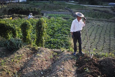 浙江瑞安市湖岭镇（农耕文化）自给自足的劳动者