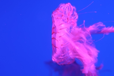 自由漂浮