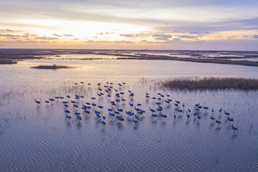 Z18359-3-277404-DJI_20241211064944_0009_D.jpg