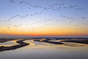 Z18359-3-277404-DJI_20241215071109_0123_D.jpg