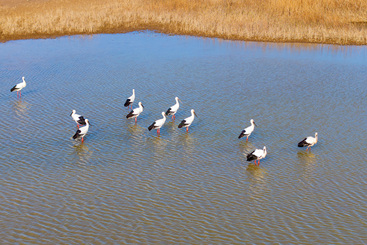 Z18359-3-277404-DJI_20241211130442_0107_D 拷贝.jpg