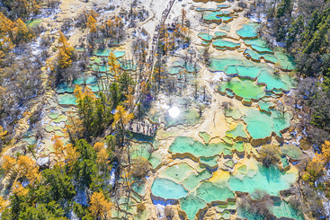 Z18359-5-277404-DJI_20241028124532_0181_D.jpg