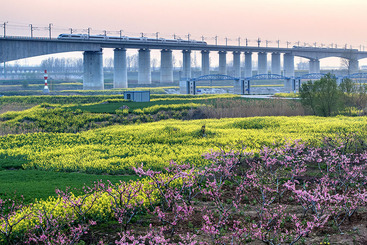 Z26061-10-277404-四季商合杭（组图）1.jpg