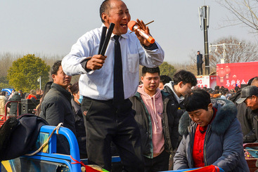 Z32486-2-277404-1马街书会印象.JPG