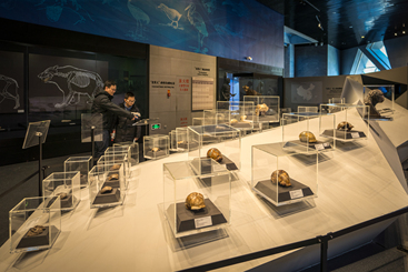 寻觅“北京人”（组照5）