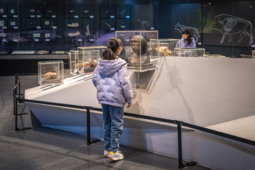 寻觅“北京人”（组照2）